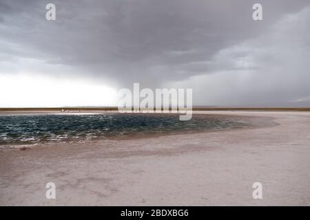 Stürmische Wolken über der Lagune von Cejar, San Pedro de Atacama, Atacama Wüste, Chile Stockfoto