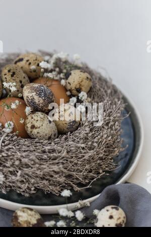 Nahaufnahme von Hühnern, Wachteleiern und Gipsophila-Blüten in einem Nest und über dunkler Leinenserviette. Negativer Raum. Stockfoto