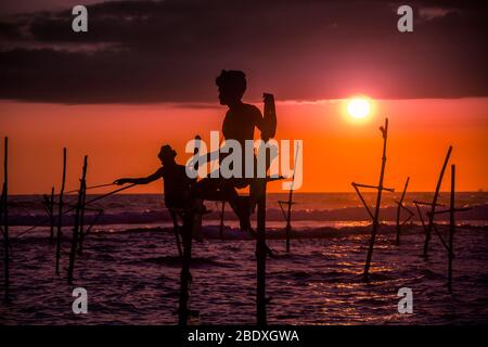 Traditionelle Stelzenfischer bei Sonnenuntergang in Sri Lanka Stockfoto