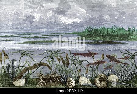 Ideale Sicht auf das Leben im Meer aus der Karbonzeit, aus Louis Figuiers The World Before the Deluge, 1867. Rechts sind die Rugose Korallen (Lithostrotion) und Schwämme (Chaetetes und Plytopora). Der längliche Schlauch davor ist Aploceras, ein natiloides Cephalopod. In der Mitte befinden sich ein Gastropod (Bellerophon hiculus), ein anderer Nautiloid (Nautilus koninckii) und ein Brachiopod (Productus) mit Dornen, die seine Schale umgeben. Links sind noch eine Brachiopode (Chonetes), weitere Rugose-Korallen (Cyathophyllum) und einige im Wasser winkende Seelilie (Cyathocrinus und Platycrinus) zu sehen. Die Fische sind EIN Stockfoto