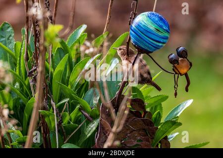 Ein Wren. Gewöhnlicher Gartenvogel. Stockfoto