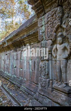 Banyan Tree und Ruinen des Baphuon-Tempels Angkor Thom, Siem Reap, Kambodscha. Stockfoto