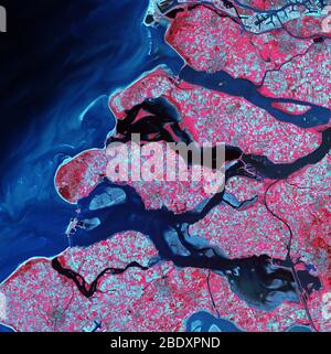 Rhein-Maas-Delta, Satellitenbild. Norden ist oben. Die Vegetation ist rot, karge Gebiete hellblau und das Wasser dunkelblau. Dieses Delta wurde durch Sedimente aus den Flüssen Maas und Rhein gebildet, die an der niederländischen Küste in die Nordsee münden. Der größte Teil des Landes ist hier mit Feldern bedeckt, mit kargen Feldern in Blau und wachsenden Kulturen in Rot. An den Ausgängen des Deltas sind Barrieren zu sehen, die die Gezeiten zurückhalten und dieses tief liegende Gebiet schützen. Die hellblaue Fläche oben rechts ist Teil des Hafens von Rotterdam. Die Fläche in diesem Bild ist etwa 60 Kilometer wi Stockfoto