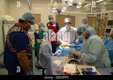 Chirurgen und Techniker führen eine Metallplatte in den Fußbereich des Fußes eines Patienten ein, um einen Knochenbruch und ein beschädigtes Gelenk zu reparieren. Stockfoto