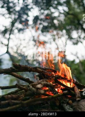 Großes helles Lagerfeuer im Wald, Camping mit Grill im Wald, Picknick und Lieder am Feuer, Wochenende Kurzurlaub, aktiver Lebensstil, Wandern Stockfoto