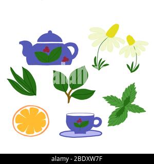 Vektor-Set auf einem weißen Hintergrund einer Tasse, Teekanne, Teeblätter, Minze und Kamille. Für Menü-Design, Verpackung, Tapete Stock Vektor