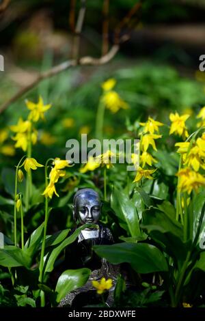 buddha-Statue,contemplation,contemplation,peaceful,meditieren,Fawn Lily,dogstooth violett,Frühling,gelbe Blumen,Blume,Erythronium Spindlestone Stockfoto