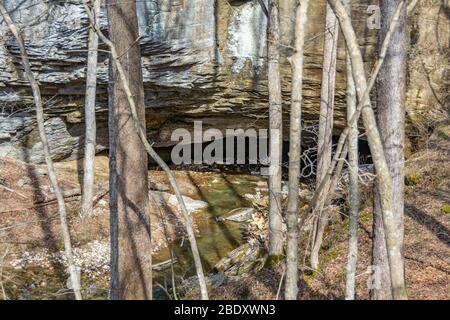 Eintritt zur X-Cave im Carter Cave State Park in Kentucky Stockfoto