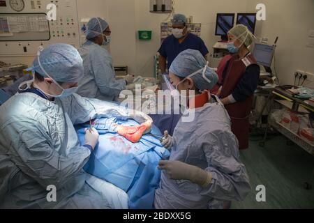 Chirurgen und Techniker führen eine Metallplatte in den Fußbereich des Fußes eines Patienten ein, um einen Knochenbruch und ein beschädigtes Gelenk zu reparieren. Stockfoto