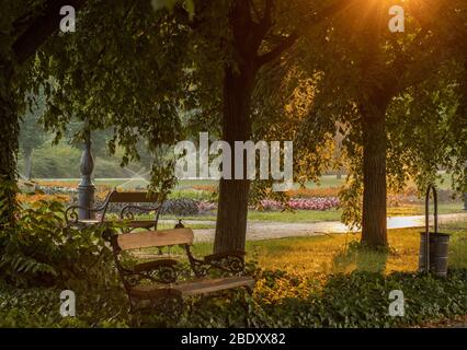 Leere Bank in einem Park bei Sonnenaufgang im Zentrum von Szolnok, Ungarn. Stockfoto