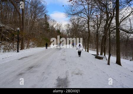 Mount Royal Park, Montreal, Kanada - 29. November 2019. Wanderer machen ihren Weg auf einer schneebedeckten Straße, die im Mount Royal Park in Montreal. Stockfoto