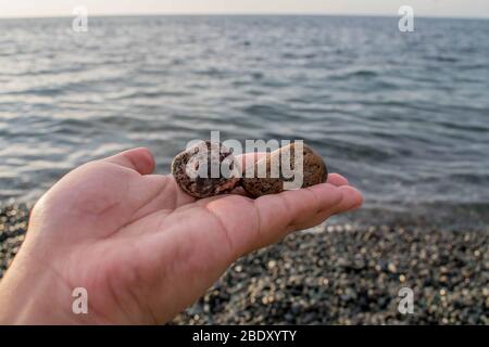 Die Hand der Frauen hält zwei glatte braune Kieselsteine auf ihren Handflächen, die zum Meer hin halten Stockfoto