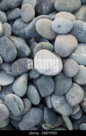 Glatte graue Strandkiesel Stockfoto