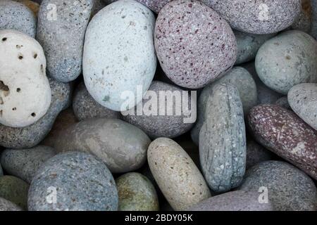 Abstrakt von glatten runden Kieselsteinen. Strand Felsen oder Kieselsteine. Lila und weiße Kieselsteine Stockfoto