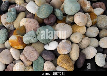 Mehrfarbige Strandkiesel stapeln sich. Grüne, lila und weiße Kieselsteine, kleine Felsen Stockfoto