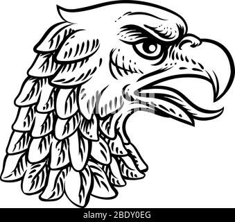 Eagle Falcon Hawk Oder Phoenix Head Face Mascot Stock Vektor
