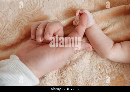 Die Babyhand hält den Zeigefinger eines Mannes mit kleinen, milchigen Fingern. Stockfoto