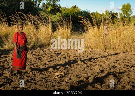 Subsistenzbäuerin im Norden Malawis, die in ihrem landwirtschaftlichen Schutzfeld steht Stockfoto