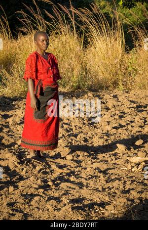 Subsistenzbäuerin im Norden Malawis, die in ihrem landwirtschaftlichen Schutzfeld steht Stockfoto