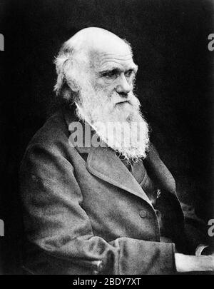 Charles Darwin, englischer Naturforscher Stockfoto