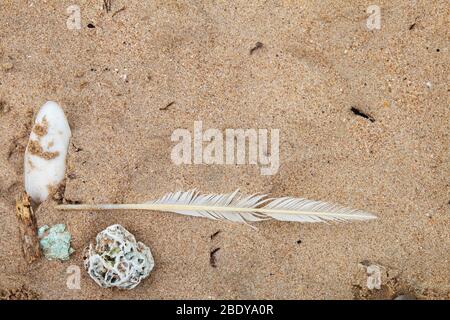 Hintergrund aus Meeresmaterialien auf dem Strand Sand zusammengesetzt. Von oben gesehen Stockfoto