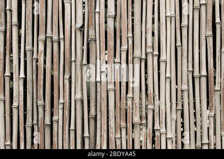 Nahaufnahme des Bambuszäunens als Hintergrund Stockfoto