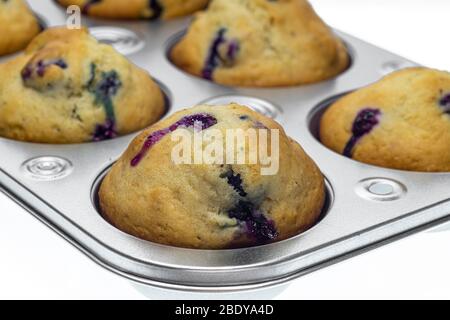 Nahaufnahme von frischen Heidelbeer-Muffins in einer sechs Muffin-Pfanne. Stockfoto