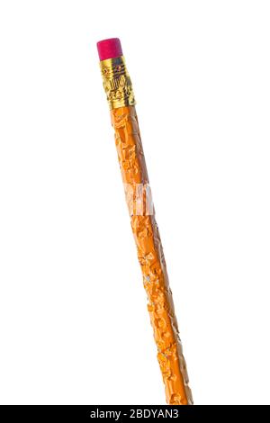 Vertikale Aufnahme des Radierers Ende eines schlecht gekaut Bleistift. Leicht nach links gelehnt. Weißer Hintergrund. Stockfoto