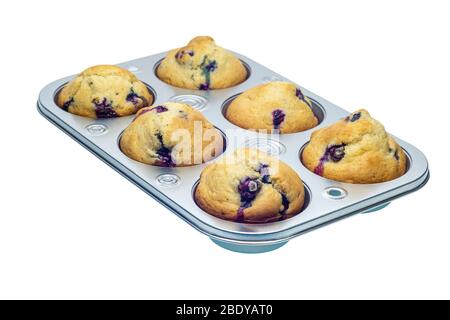 Horizontale Nahaufnahme von sechs frischen Heidelbeer-Muffins in einer sechs Muffin-Pfanne. Abgewinkelt. Weißer Hintergrund. Stockfoto