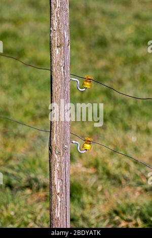 Nahaufnahme eines elektrischen Drahtzauens um eine Weide Stockfoto