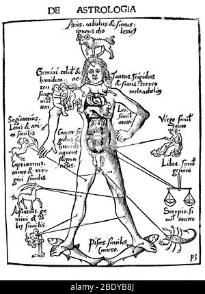 Zodiac Man, Medizinische Astrologie, 1503 Stockfoto