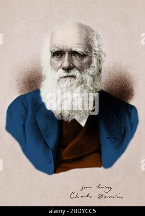 Charles Darwin, englischer Naturforscher Stockfoto