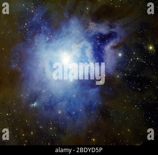 Iris-Nebel, NGC 7023, Caldwell 4 Stockfoto