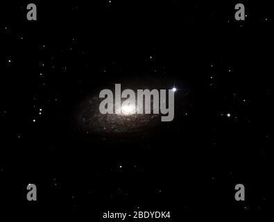 Sonnenblumen Galaxie M63, NGC 5055 Stockfoto