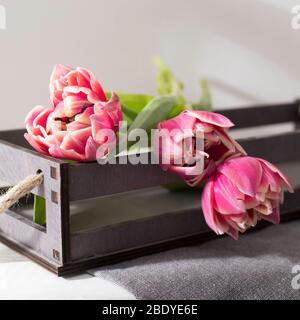Drei rosa Tulpen liegen auf einer Holzkiste. Karte Stockfoto