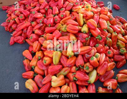 Stapel von frischen reifen roten Chili-Paprika zum Verkauf auf dem lokalen Markt in Jerewan, Armenien Stockfoto