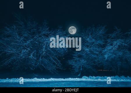 Nachtlandschaft mit Bäumen und Vollmond Nahaufnahme in der Wintersaison. Stockfoto