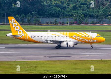Changi, Singapur – 29. Januar 2018: Scoot Airbus A320 Flugzeug am Changi Flughafen (SIN) in Singapur. Airbus ist ein europäischer Flugzeughersteller Stockfoto