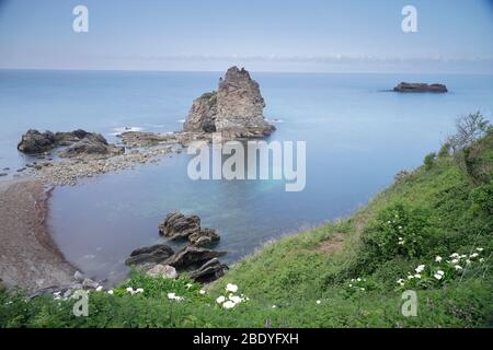 Blick auf die Küste des natürlichen Felsenbogens Portiellu in der Nähe von Llanes, Asturien, mit schroffen Klippen, Gezeitenbecken und dem Kantabrischen Meer unter weichem Licht. Stockfoto