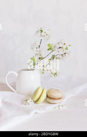 Zwei leckere französische Macarons und ein Glas mit blühenden Zweigen auf weißem Hintergrund. Pastellfarben. Hintergrund Frühling. Stockfoto