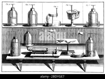 Galvanismus-Experimente, 1804 Stockfoto