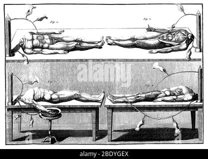 Galvanismus-Experimente, 1804 Stockfoto