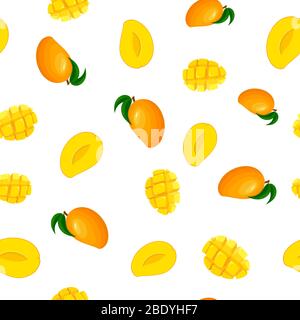 Nahtloses Muster mit frischen hellen exotischen ganze und geschnittene Mango isoliert auf weißem Hintergrund. Sommerfrüchte für einen gesunden Lebensstil. Bio-Obst. Auto Stock Vektor