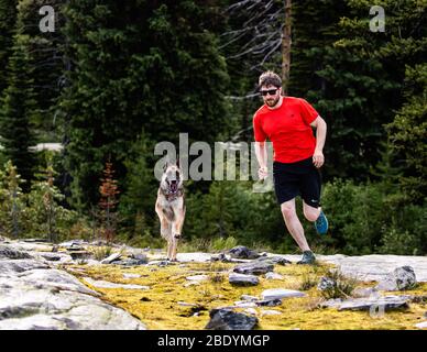 Mann läuft mit seinem Schäferhund in der Wildnis zwischen Montana und Idaho. Stockfoto