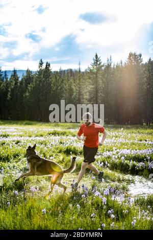 Besitzer Trail Running mit ihrem Schäferhund auf der MT / ID Grenze. Stockfoto