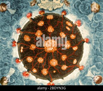 Diagramm, das die Vernetzung des Feuers in der Erde zeigt, dargestellt in Mundus subterraneus, veröffentlicht 1664-5 von Athanasius Kircher und Christoph Scheiner. Das Kunstwerk zeigt Vulkane auf der Erdoberfläche und unterirdische Feuer und Wasserkanäle, die zu Ausbrüchen führen. Kircher's Theorie war, dass unterirdische Wasserkanäle, erhitzt durch die inneren Feuer der Erde, entstanden im Meer (verursacht die Gezeiten) und in den Bergen (verursacht Vulkane). Athanasius Kircher (2. Mai 1601 oder 1602 -27. Oder 28. November 1680) (Meister der hundert Künste) war ein deutscher Jesuitengelehrter gefeiert für die ve Stockfoto