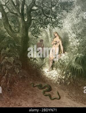 Adam und Eva und Schlange von Dore Stockfoto