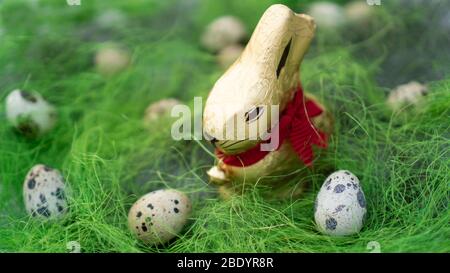 Süßes kleines Häschen jagt glückliche Eier auf grünem Gras. Urlaubsmotiv Stockfoto