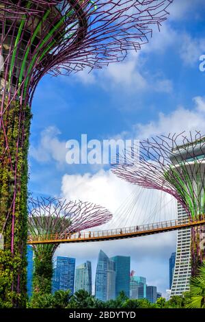 Gärten an der Bucht in Singapur am Tag. Die Menschen gehen auf einer Hängebrücke, im Hintergrund Wolkenkratzer des Geschäftsviertels der Stadt. Stockfoto