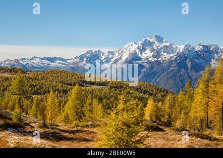 Valmalenco (IT) - Panorama-Herbstantenne von Alpe Prabello Stockfoto